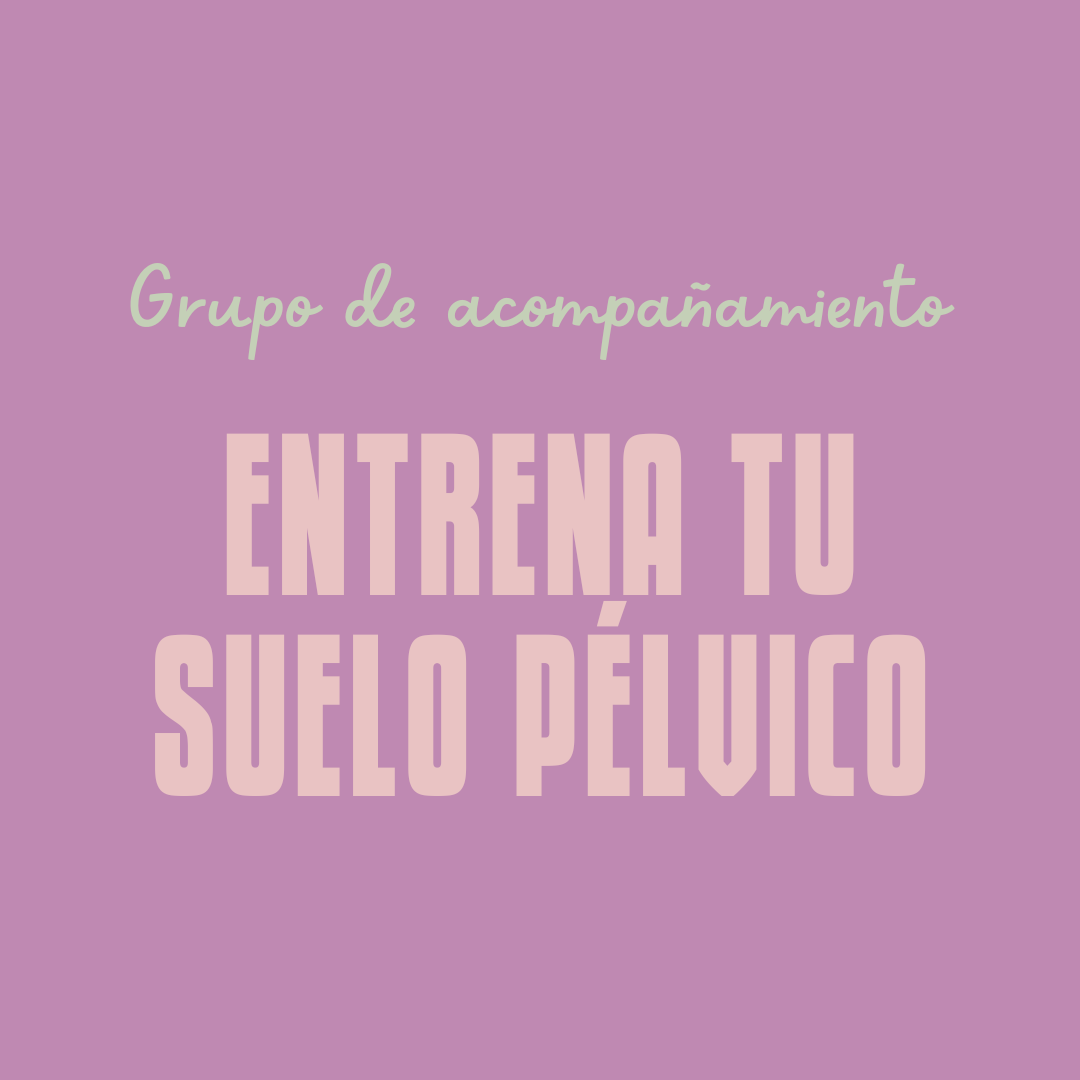 grupo entrena tu suelo pelvico