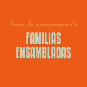 Grupo de familias ensambladas