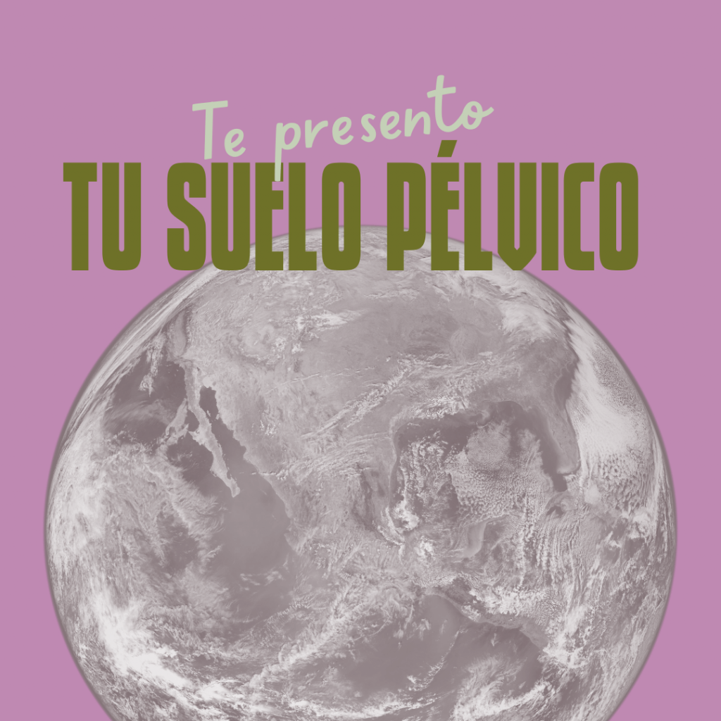 Te presento tu suelo pelvico