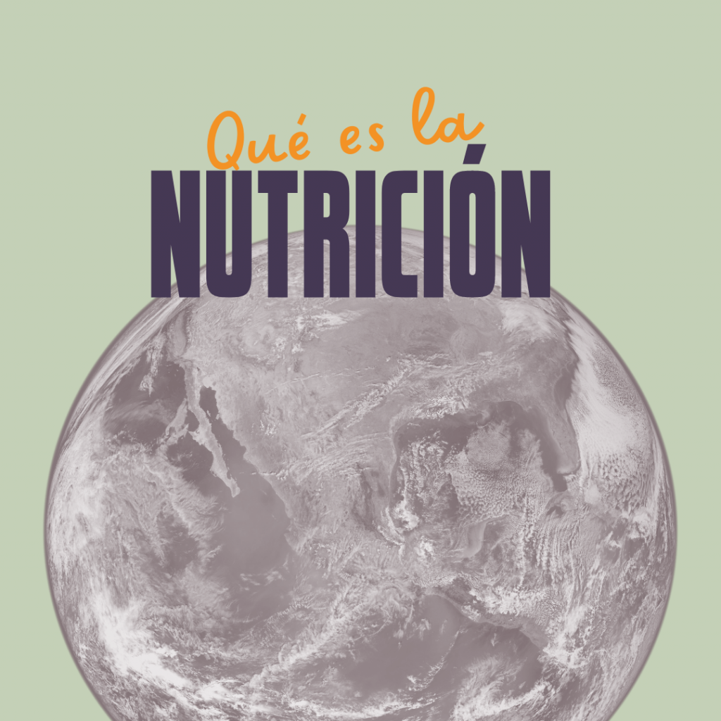 Qué es la nutrición