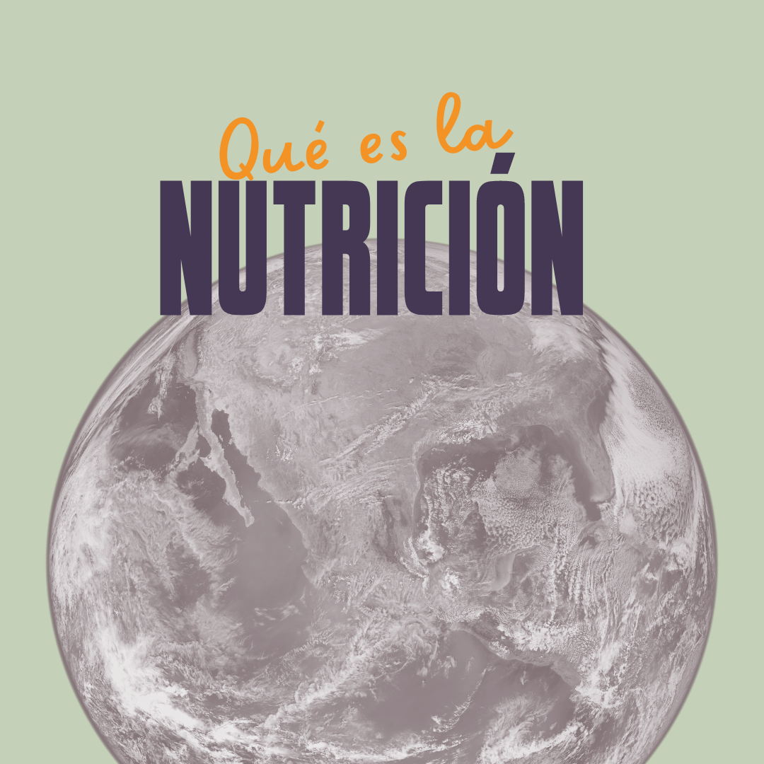 Qué es la nutrición